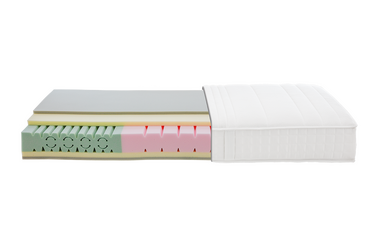 Bezug_typus_2_0_Typ_I