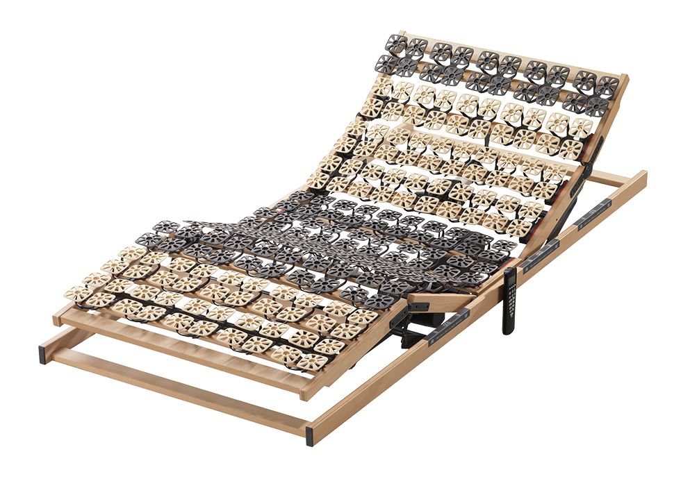 Carus%203000%20EL4-freigestellt-r2qa1q1vzkx7xtd